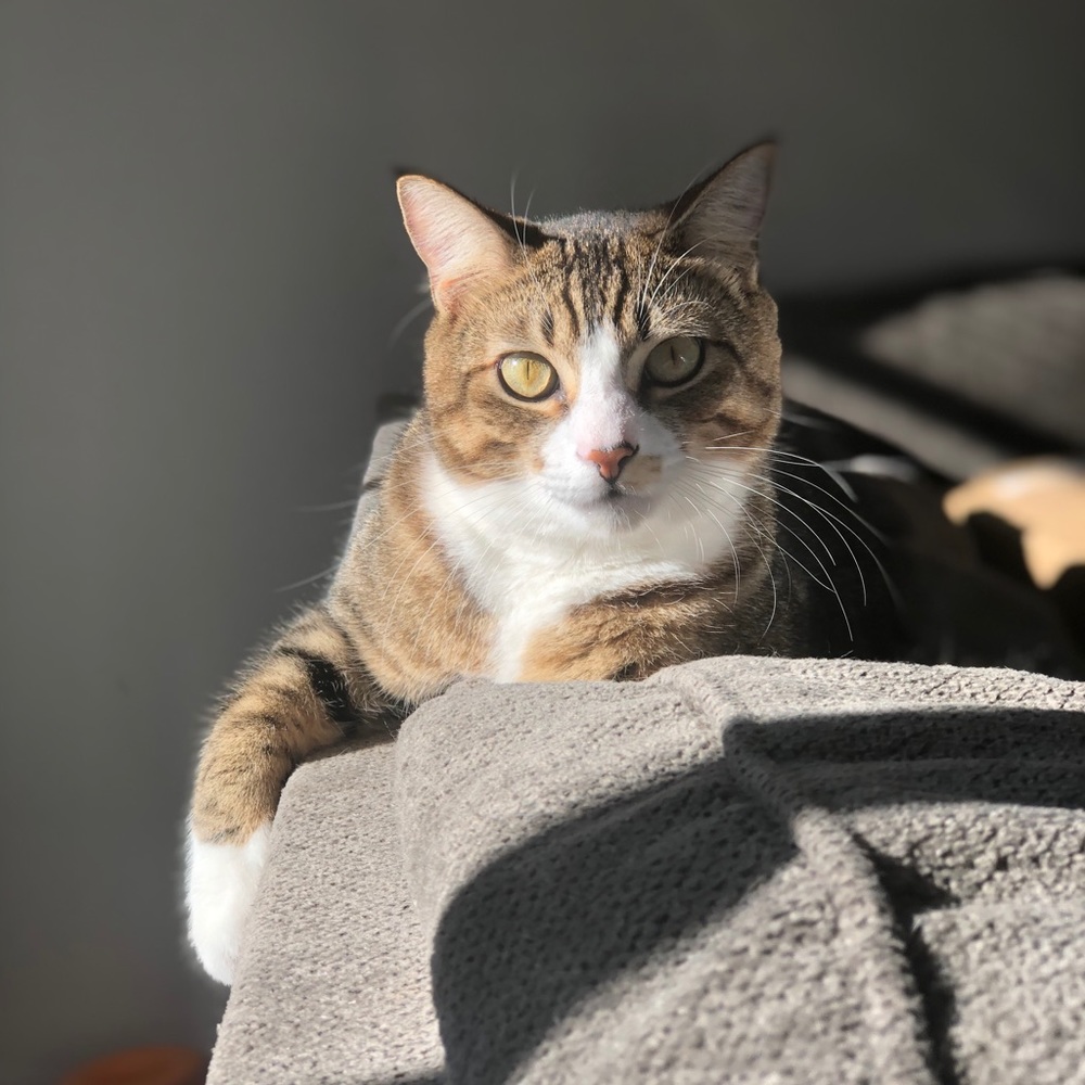 Meet your Posher, Janelle